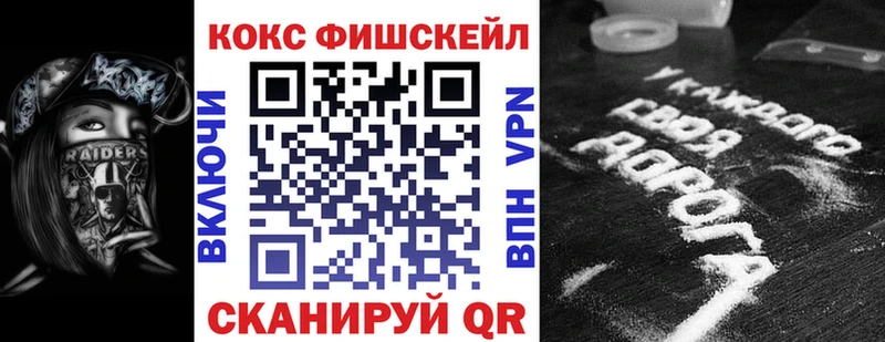 Cocaine Fish Scale  как найти   Краснослободск 