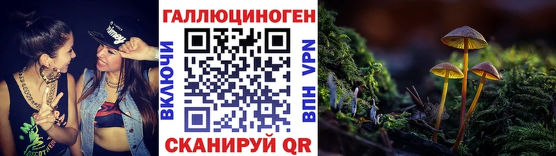 ОМГ ОМГ ссылки  Краснослободск  Псилоцибиновые грибы Psilocybe  купить наркоту 